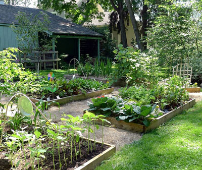 boston pest-free garden